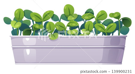 Fresh Spring Seedlings Growing in Planter Box. Young Green Plants Sprouting for Garden Season, Indoor Gardening, Sustainable Growth Concept, Eco-Friendly Agriculture and Horticulture Illustration Fresh Spring Seedlings Growing in Planter Box. Young Green Plants Sprouting for Garden Season, Indoor Gardening, Sustainable Growth Concept, Eco-Friendly Agriculture and Horticulture Illustration 139900231