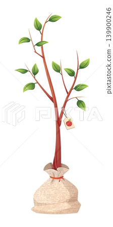 Young Apple Tree Sapling with Roots in Burlap Sack. Fruit Tree Seedling for Spring Planting, Orchard Cultivation, and Organic Gardening. Nursery Stock with Tag Illustration. Young Apple Tree Sapling with Roots in Burlap Sack. Fruit Tree Seedling for Spring Planting, Orchard Cultivation, and Organic Gardening. Nursery Stock with Tag Illustration. 139900246