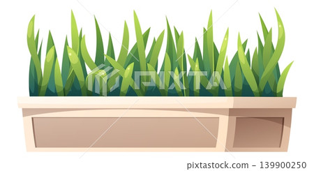 Green Grass Growing in Rectangular Planter Box. Home Garden and Balcony Decor Concept, Lush Green Lawn Sprout in Rectangular Container, Isolated Vector Illustration Green Grass Growing in Rectangular Planter Box. Home Garden and Balcony Decor Concept, Lush Green Lawn Sprout in Rectangular Container, Isolated Vector Illustration 139900250