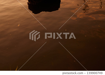 The surface of the pond and the shadows of the rocks 4 The surface of the pond and the shadows of the rocks 4 139900749