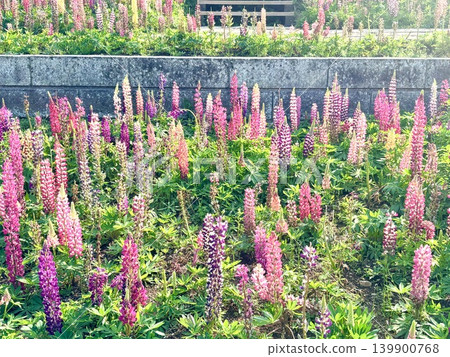 Flower Color Palette in Full Bloom Flower Color Palette in Full Bloom 139900768