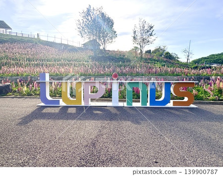Colorful signs indicating heavy traffic in spring 139900787