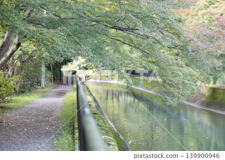 Landscape with autumn leaves and river Landscape with autumn leaves and river 139900946