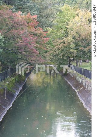 Landscape with autumn leaves and river 139900947
