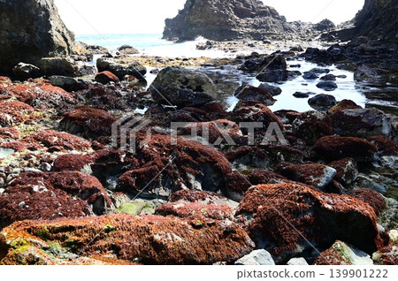 Sanriku Reconstruction National Park: Sanno-iwa Rock and the surrounding scenery Sanriku Reconstruction National Park: Sanno-iwa Rock and the surrounding scenery 139901222