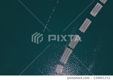 從空中俯瞰廣島縣初日市宮島海岸的牡蠣養殖筏。 從空中俯瞰廣島縣初日市宮島海岸的牡蠣養殖筏。 139901252