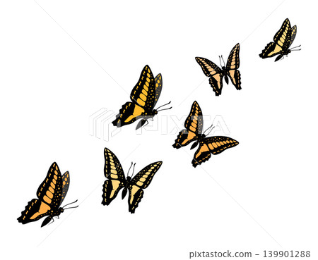 Group of butterflies is flying around.  139901288