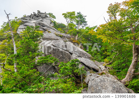 The steep rocky section of the Zenki route, a hiking trail to Mt. Shakagatake in the Omine Mountains. *The location of the photo is indicated in the comments section of the work. The steep rocky section of the Zenki route, a hiking trail to Mt. Shakagatake in the Omine Mountains. *The location of the photo is indicated in the comments section of the work. 139901686