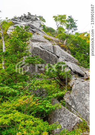The steep rocky section of the Zenki route, a hiking trail to Mt. Shakagatake in the Omine Mountains. *The location of the photo is indicated in the comments section of the work. 139901687