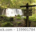 Oirase stream 139901784