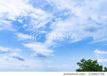 藍天和雲彩和樹 藍天和雲彩和樹 139901799