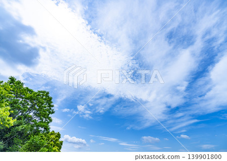 藍天和雲彩和樹 藍天和雲彩和樹 139901800