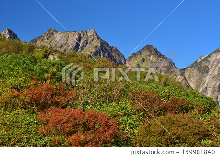 白馬八方尾根山脊,秋色絢麗。 白馬八方尾根山脊,秋色絢麗。 139901840