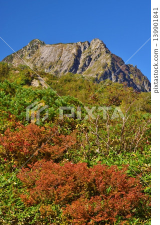 白馬八方尾根山脊,秋色絢麗。 白馬八方尾根山脊,秋色絢麗。 139901841