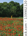 A yellow door stands amidst a field of red poppies and a forest of fresh green leaves. 139902120
