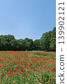 A yellow door stands amidst a field of red poppies and a forest of fresh green leaves. 139902121