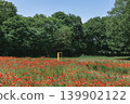 A yellow door stands amidst a field of red poppies and a forest of fresh green leaves. 139902122