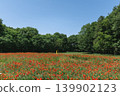A yellow door stands amidst a field of red poppies and a forest of fresh green leaves. 139902123