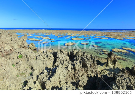 【沖繩縣】陽光英加海洋花園（宮古島） 139902165