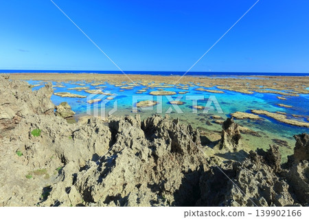 [Okinawa Prefecture] Sunny Ingya Marine Garden (Miyako Island) 139902166