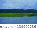 Cloudy skies and rice paddies in May, Tochigi Prefecture 139902236