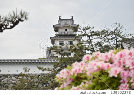 The castle tower seen through azaleas The castle tower seen through azaleas 139902278