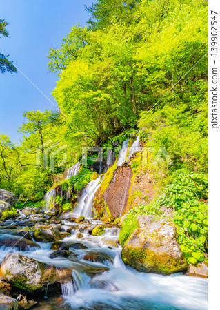(Yamanashi Prefecture) Doryu Falls in the fresh greenery (Yamanashi Prefecture) Doryu Falls in the fresh greenery 139902547
