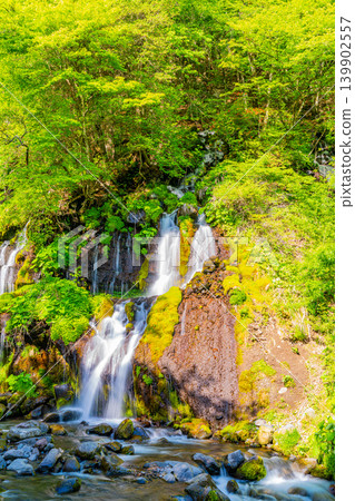 (Yamanashi Prefecture) Doryu Falls in the fresh greenery (Yamanashi Prefecture) Doryu Falls in the fresh greenery 139902557