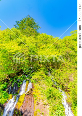 (Yamanashi Prefecture) Doryu Falls in the fresh greenery (Yamanashi Prefecture) Doryu Falls in the fresh greenery 139902558
