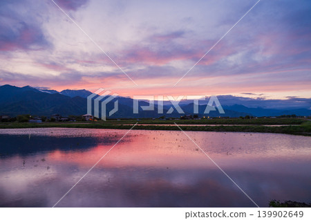 Rice paddies reflecting the sunset sky [Ikeda Town, Kitaazumi District] 139902649