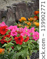 Multicolored flowers 139902771
