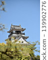 Kochi Castle against a blue sky 139902776