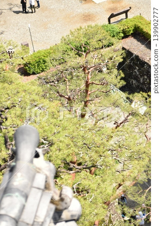 從城堡塔樓眺望松樹園 139902777