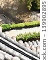 Hedges and tiled roofs 139902895