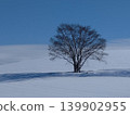 站在美瑛白雪皚皚的山丘上 139902955