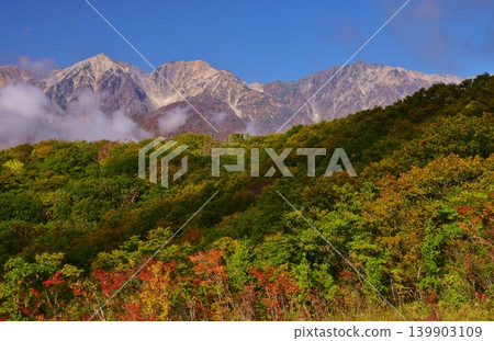 The peaks of Hakuba as seen from Iwatake amidst the autumn foliage. 139903109