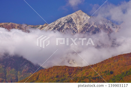 The peaks of Hakuba as seen from Iwatake amidst the autumn foliage. 139903117