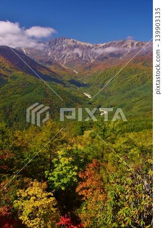 The peaks of Hakuba as seen from Iwatake amidst the autumn foliage. 139903135