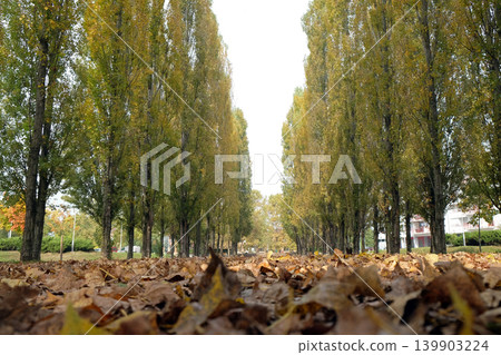 Park in Malesnica residential area, Zagreb, Croatia Park in Malesnica residential area, Zagreb, Croatia 139903224