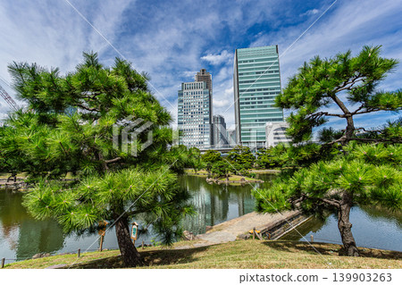 A view of the pond in the former Shiba Rikyu Gardens and the skyscrapers of Tokyo through the beautiful pine trees. September 2023. A view of the pond in the former Shiba Rikyu Gardens and the skyscrapers of Tokyo through the beautiful pine trees. September 2023. 139903263