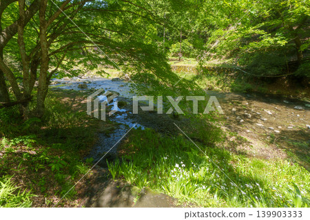 Landscape with Brooks Landscape with Brooks 139903333