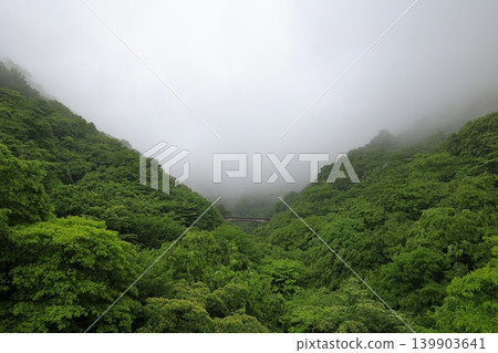 The abandoned railway bridge, fresh greenery, and approaching clouds are visible from the Usui Third Bridge. The abandoned railway bridge, fresh greenery, and approaching clouds are visible from the Usui Third Bridge. 139903641