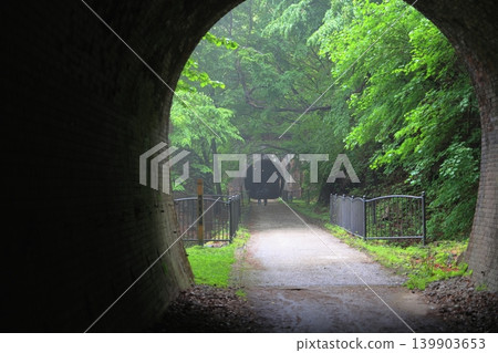 從臼井峠的Abt鐵道6號隧道出口可以看到7號隧道的入口。 139903653