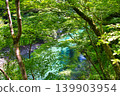 [Kanagawa Prefecture] Genkura River Yushin Blue 139903954