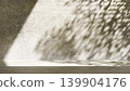 A room with beige walls bathed in sunlight. Shadows of branches and leaves. Blank space for branding and presentations. 139904176