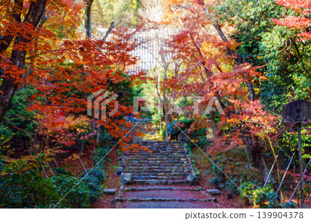 Stone steps with autumn leaves at Jōjūji Temple Stone steps with autumn leaves at Jōjūji Temple 139904378
