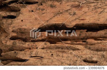 Destroyed wooden plank Destroyed wooden plank 139904876