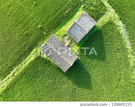 A farmer A farmer 139905155