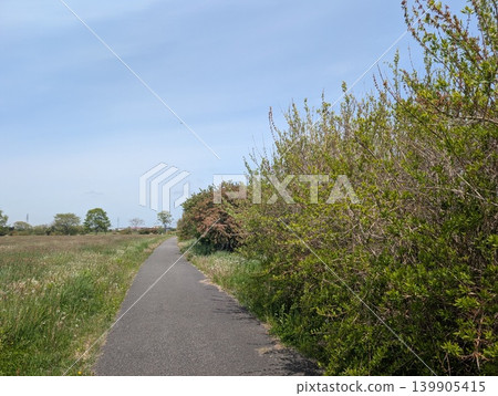In the season of fresh greenery, quiet walking paths and strolls lined with lush, green foliage. In the season of fresh greenery, quiet walking paths and strolls lined with lush, green foliage. 139905415