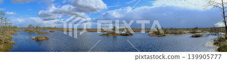 Panoramic View of Wetlands in Yelnya Nature Reserve, Belarus 139905777